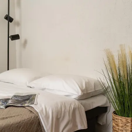 Air 314 Apartment