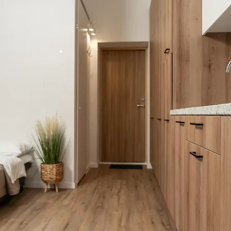 Air 314 Apartment Vilnius