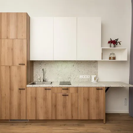 Air 314 Apartment Vilnius
